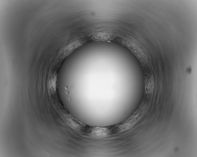 X0000099440334200805161140