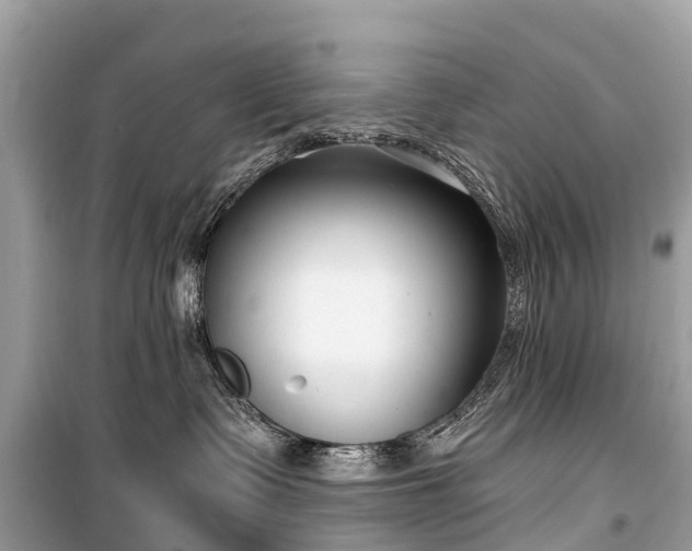 X0000099440335200805161140