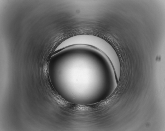X0000099440336200805161139