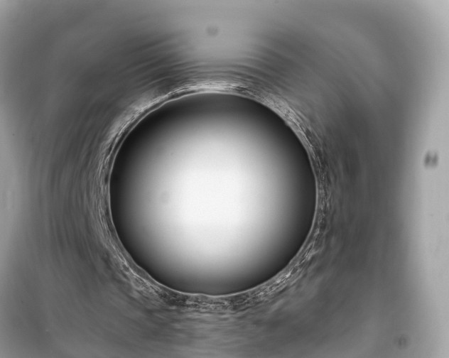 X0000099440337200805161139