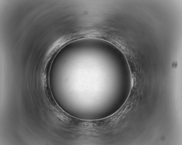X0000099440339200805161139