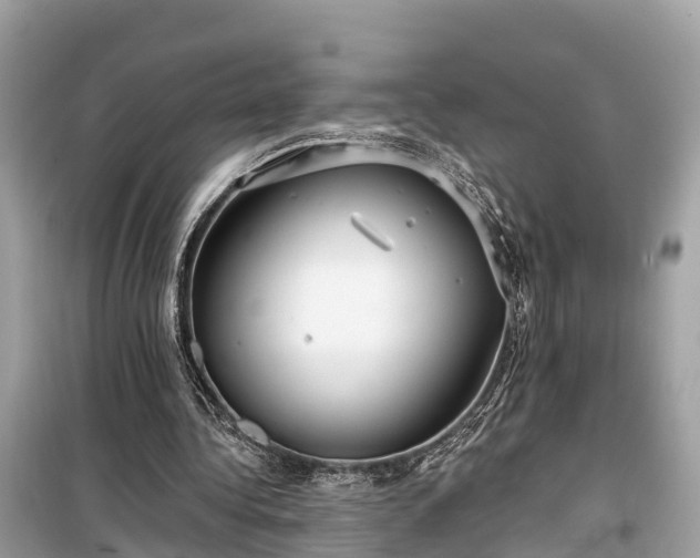 X0000099440340200805161139