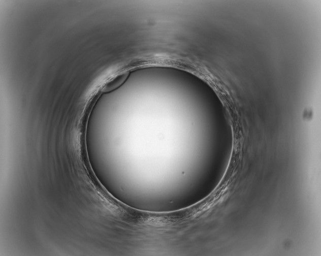 X0000099440341200805161139