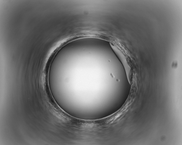 X0000099440342200805161139