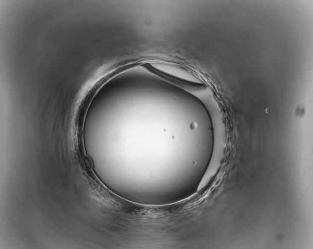 X0000099440343200805161139