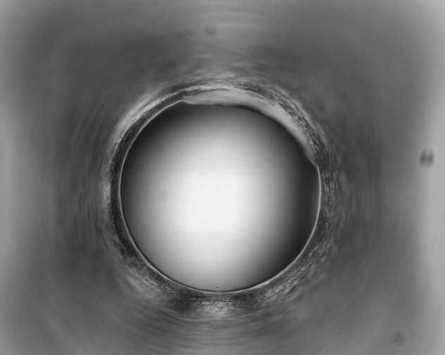 X0000099440344200805161139