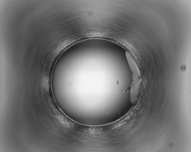 X0000099440345200805161139
