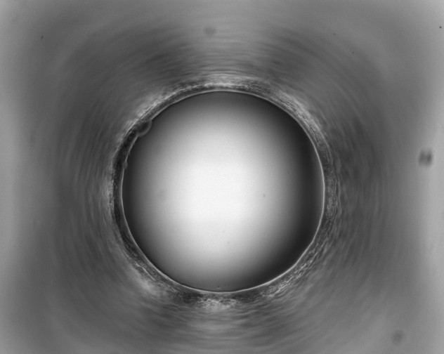 X0000099440346200805161139