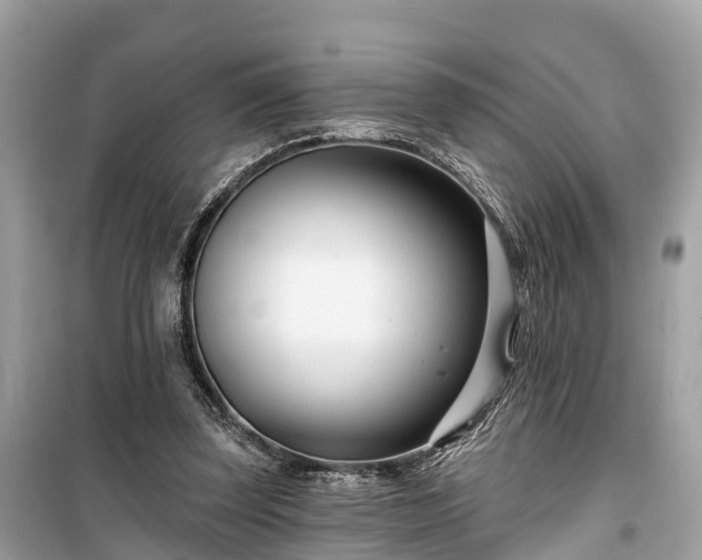 X0000099440347200805161139