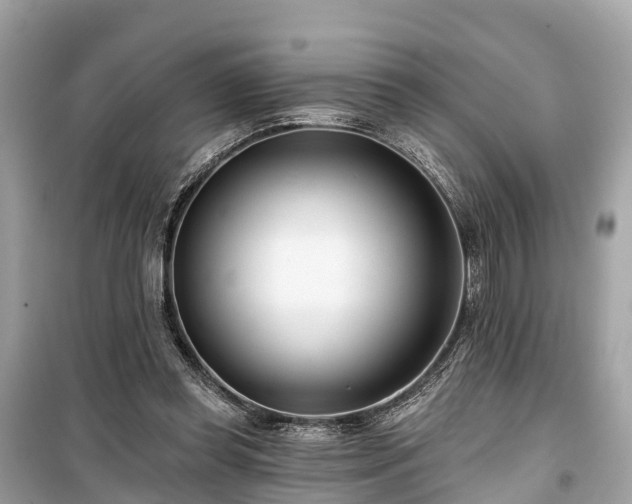 X0000099440349200805161139