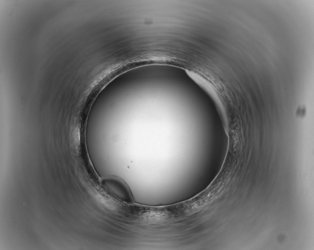 X0000099440350200805161139