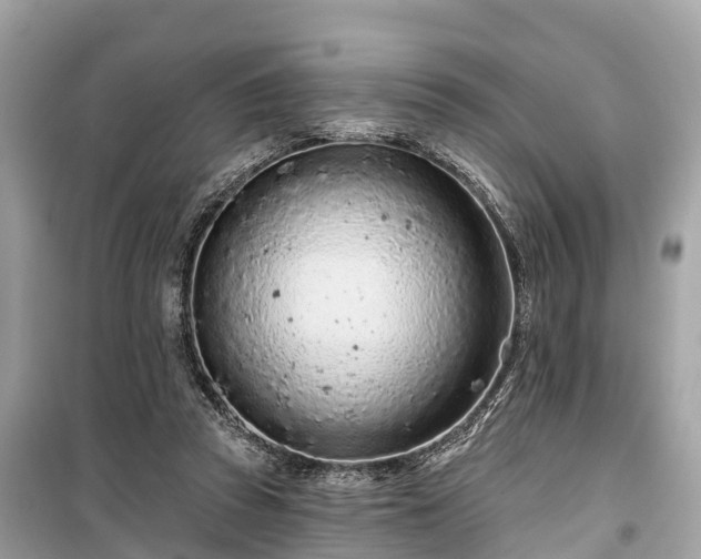X0000099440353200805161139