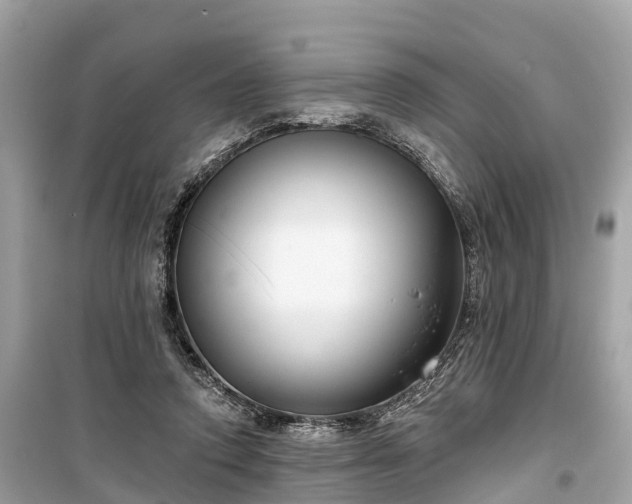 X0000099440354200805161139