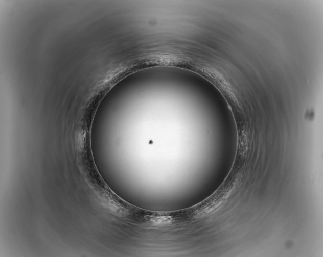 X0000099440355200805161139