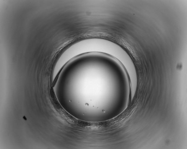 X0000099440356200805161139