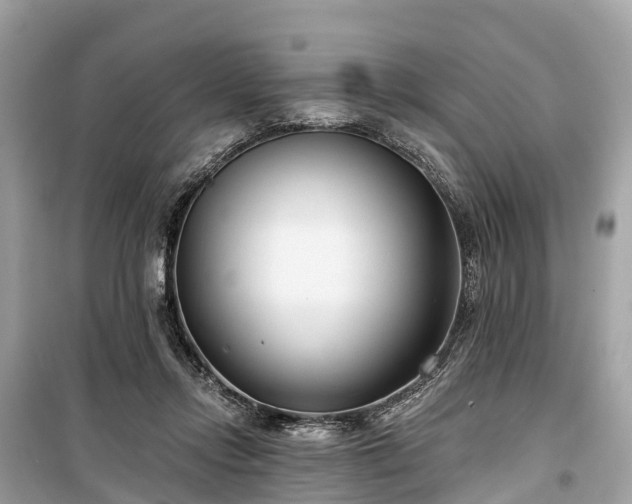 X0000099440358200805161139