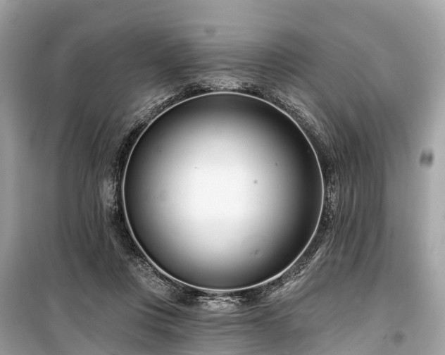 X0000099440359200805161139