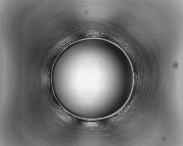 X0000099440361200805161139