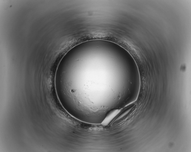 X0000099440362200805161139