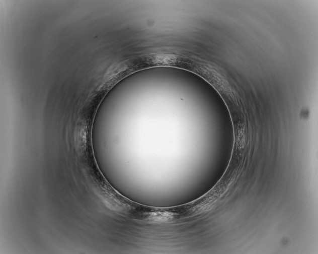 X0000099440363200805161139