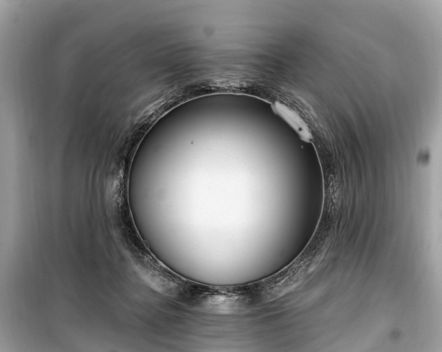 X0000099440364200805161139