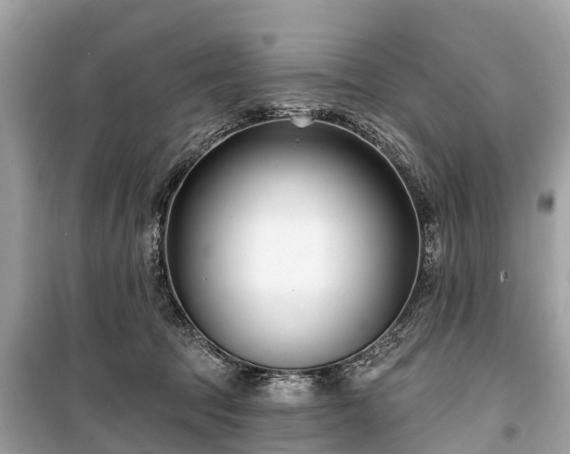 X0000099440369200805161139