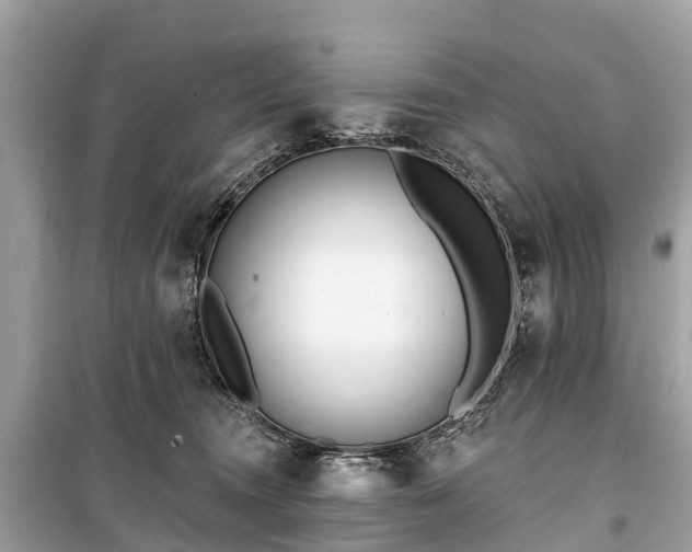 X0000099440372200805161139