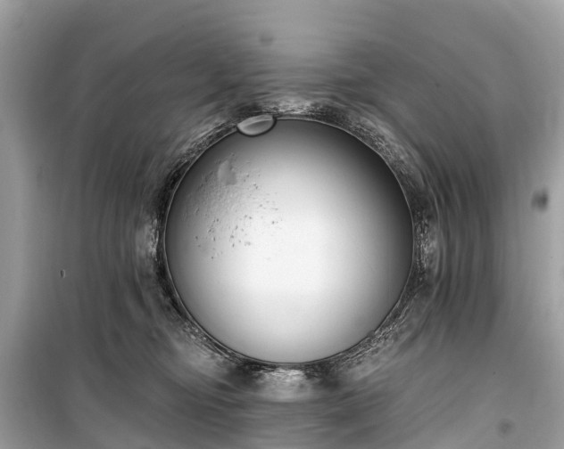 X0000099440374200805161139