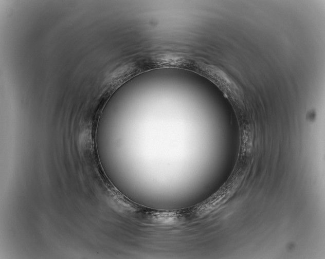 X0000099440377200805161139