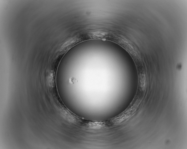 X0000099440378200805161139