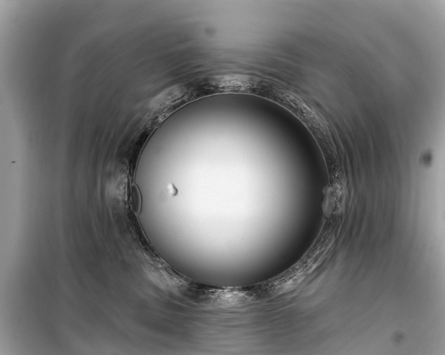 X0000099440379200805161139