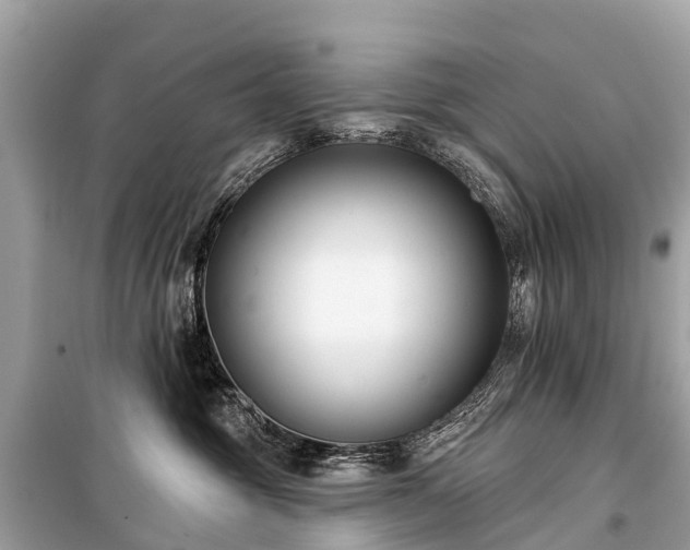 X0000099440381200805161139