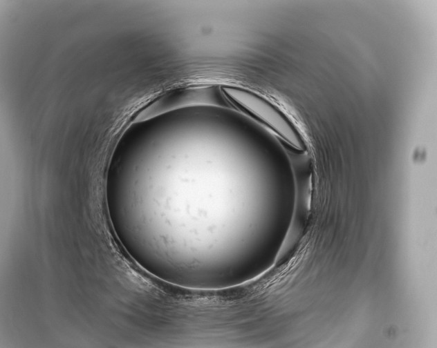 X0000099440385200805161139