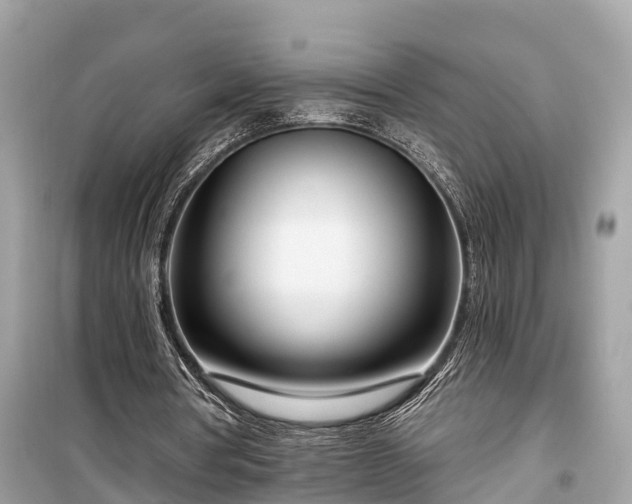 X0000099440386200805161139