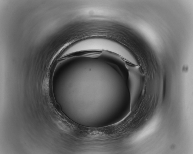 X0000099440387200805161139