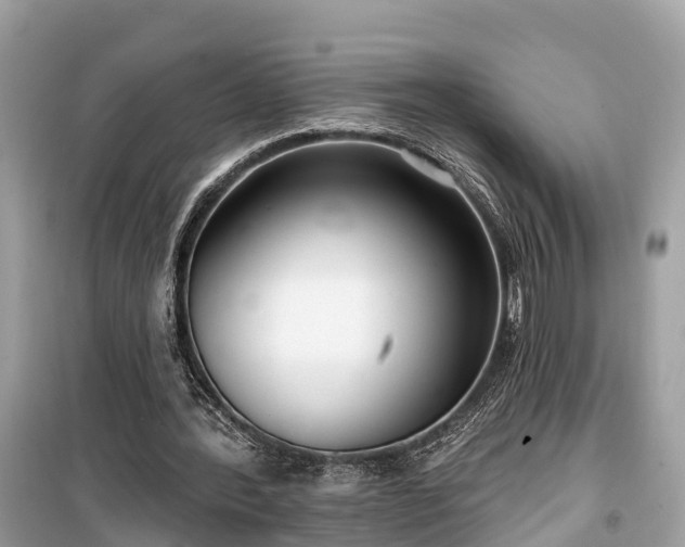 X0000099440388200805161139