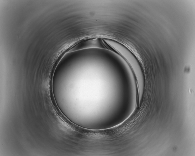 X0000099440389200805161139
