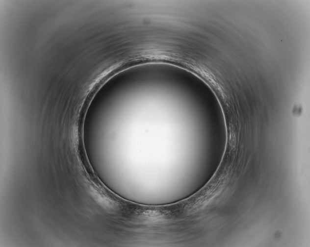 X0000099440390200805161139