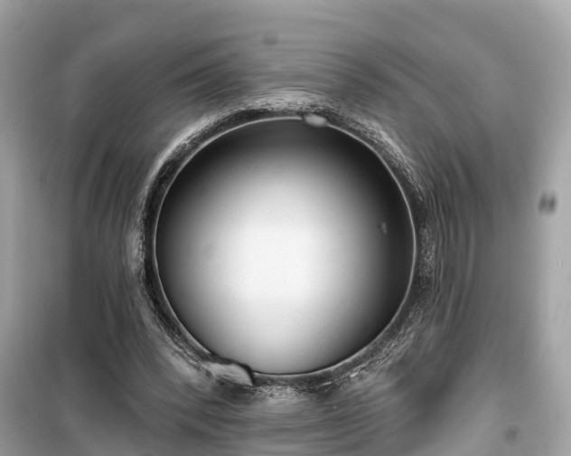 X0000099440392200805161139