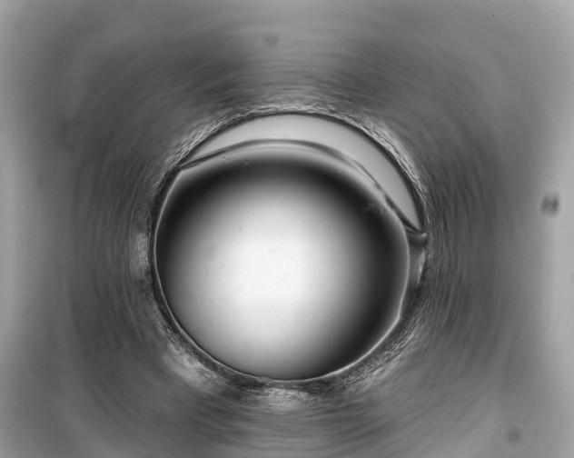 X0000099440393200805161139