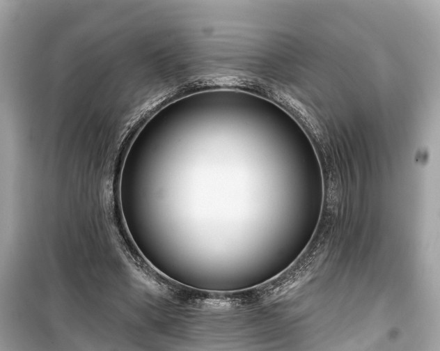 X0000099440394200805161138