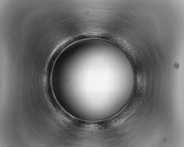 X0000099440396200805161138