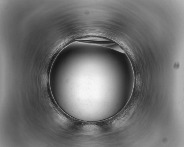 X0000099440397200805161138