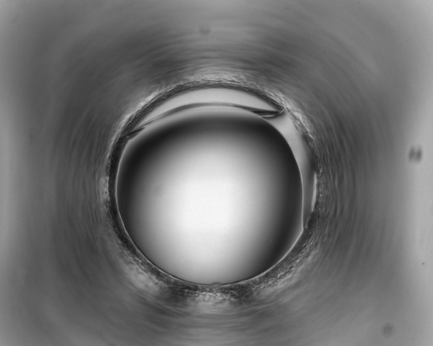 X0000099440399200805161138