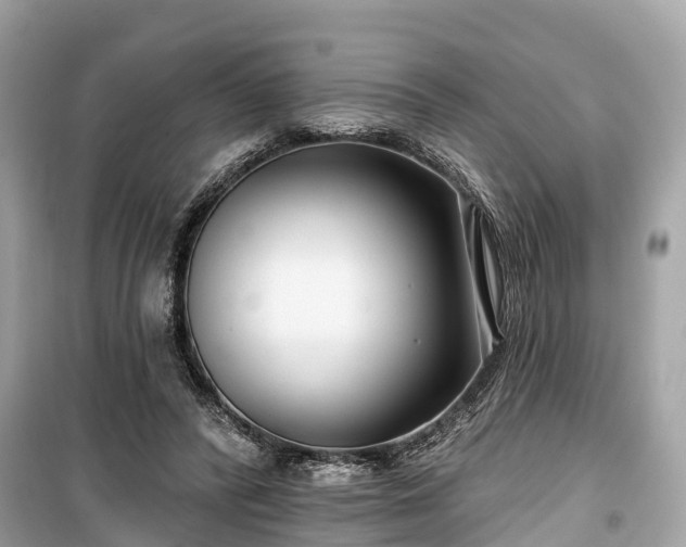 X0000099440400200805161138
