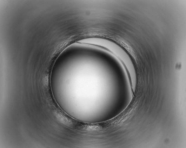 X0000099440401200805161138