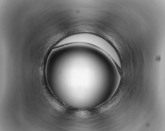 X0000099440402200805161138