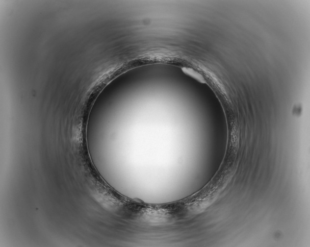 X0000099440403200805161138