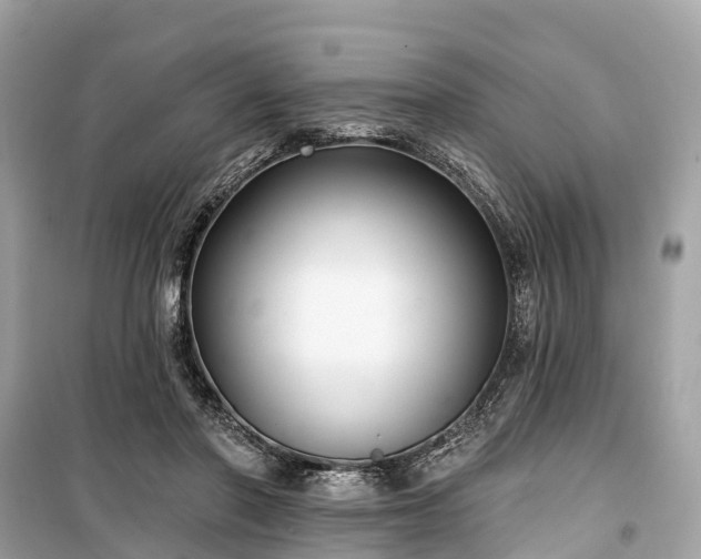X0000099440406200805161138