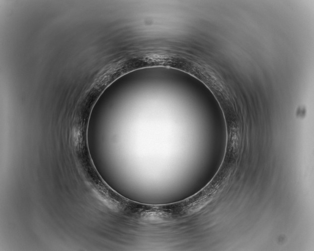 X0000099440408200805161138